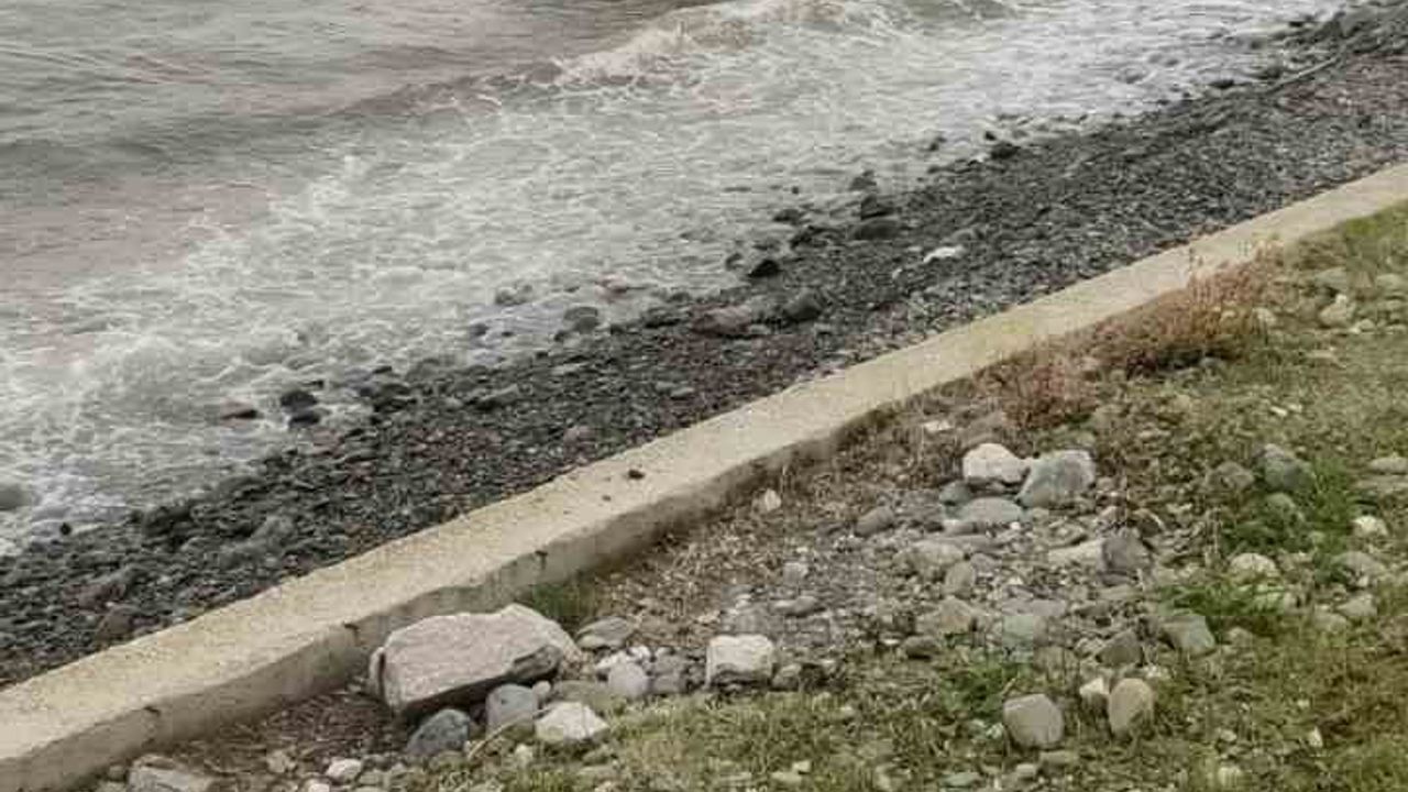 Yalova'da Pikap Kontrolden Çıkarak Denize Uçtu — 1 Yaralı