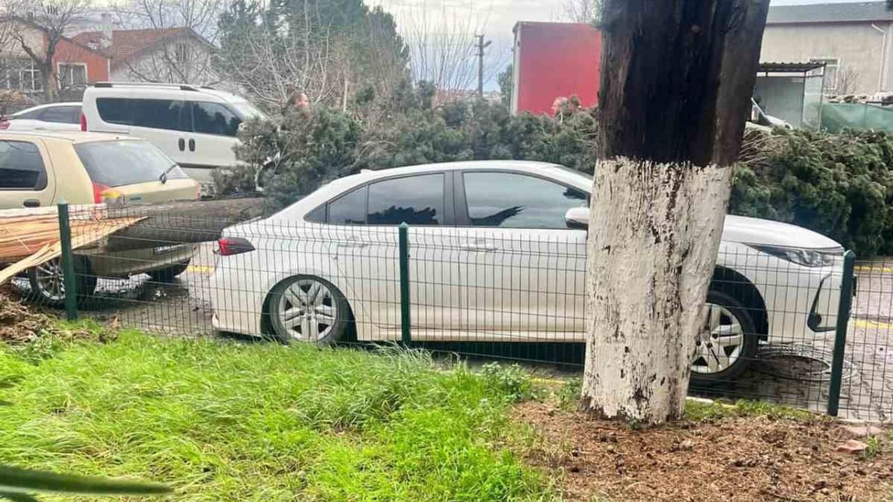 Yalova'da Şiddetli Fırtına: Çatılar, Ağaçlar ve Vinçler Devrildi