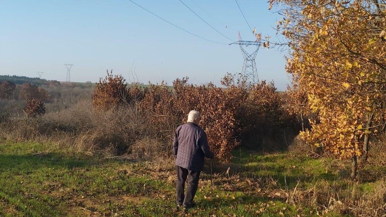 Yargıtay'dan emsal kamulaştırma kararı: Kamulaştırma bedeline en yüksek kamu faizi