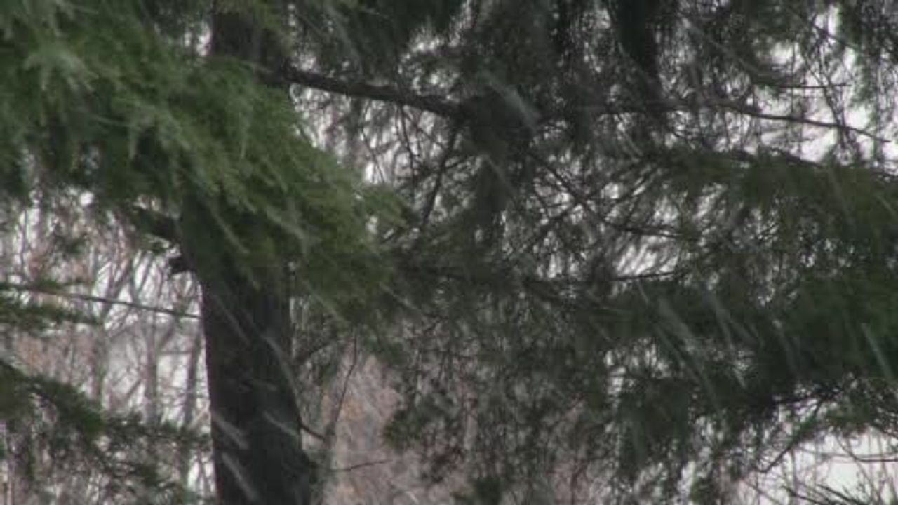 Yenibosna'da Kar Yağışı Etkili