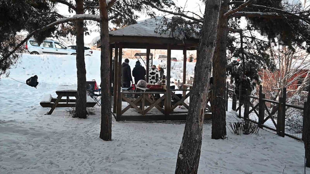 Yozgat Çamlığı'nda Kar Coşkusu — Türkiye'nin İlk Milli Parkı Beyaza Büründü