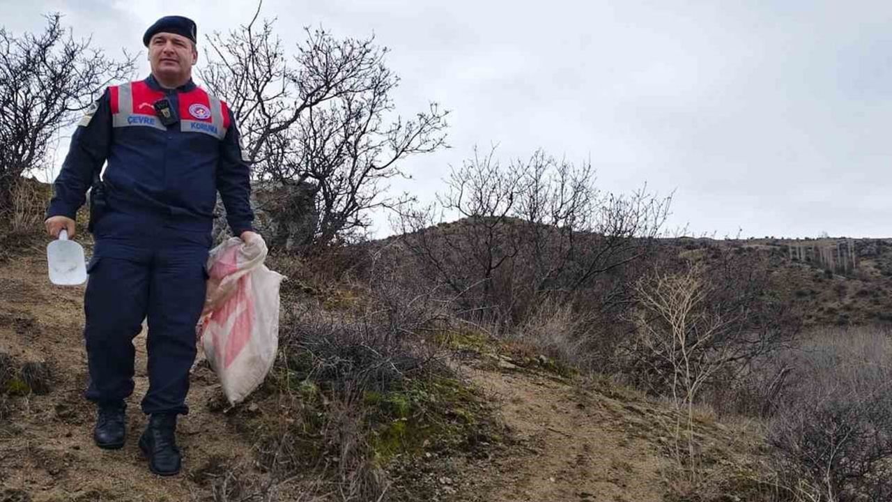 Yozgat'ta Jandarma'dan Yaban Hayvanlarına Yem Desteği