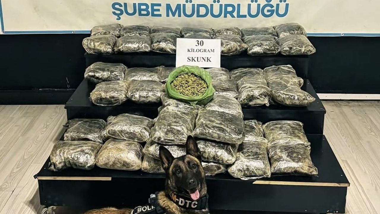 Yüksekova'da 30 Kilo Skunk Ele Geçirildi: 2 Şüpheli Gözaltında