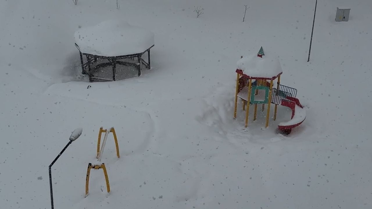 Yüksekova'da Yoğun Kar: 160 Yerleşim Ulaşıma Kapalı, Eğitime 1 Gün Ara