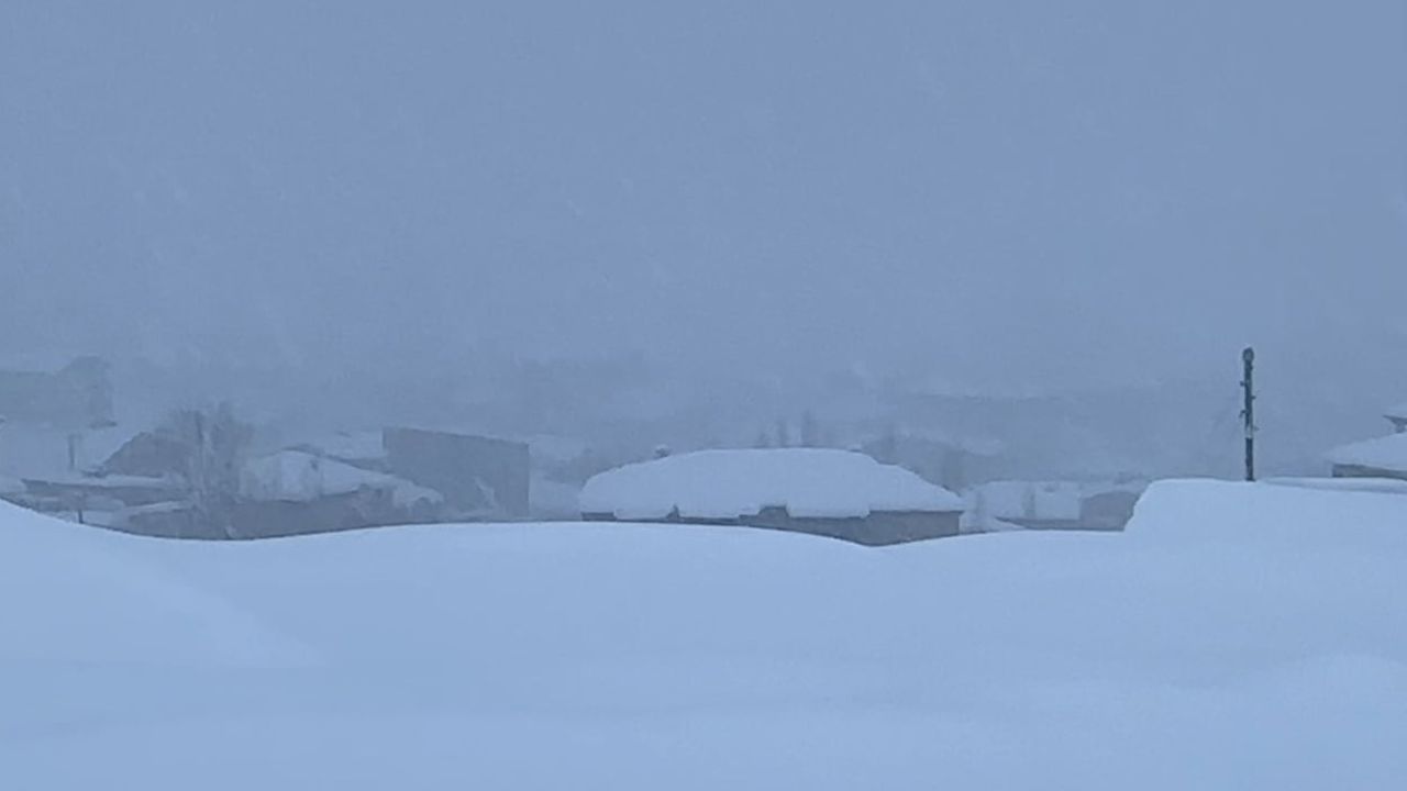 Yüksekova kara gömüldü: Kar kalınlığı merkezde yarım metreyi geçti