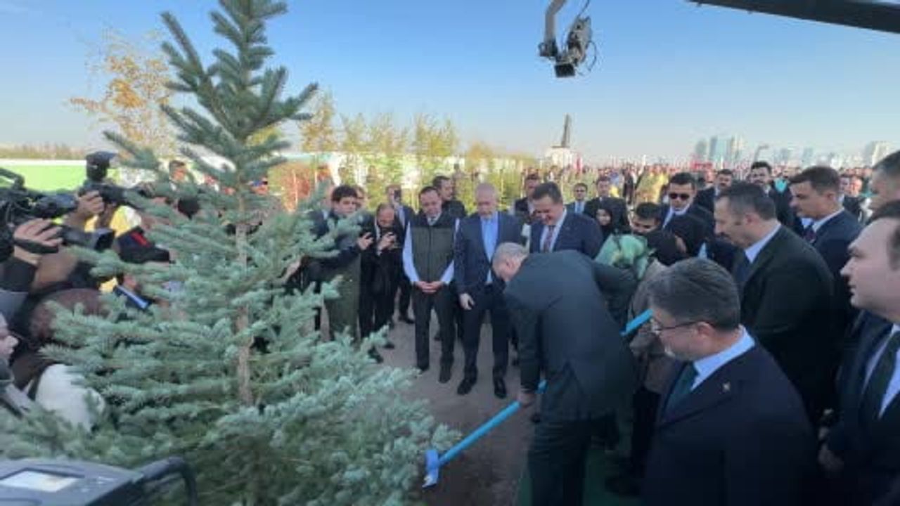 Yumaklı: 517 Milyon Fidan ve Tohumu Toprakla Buluşturduk