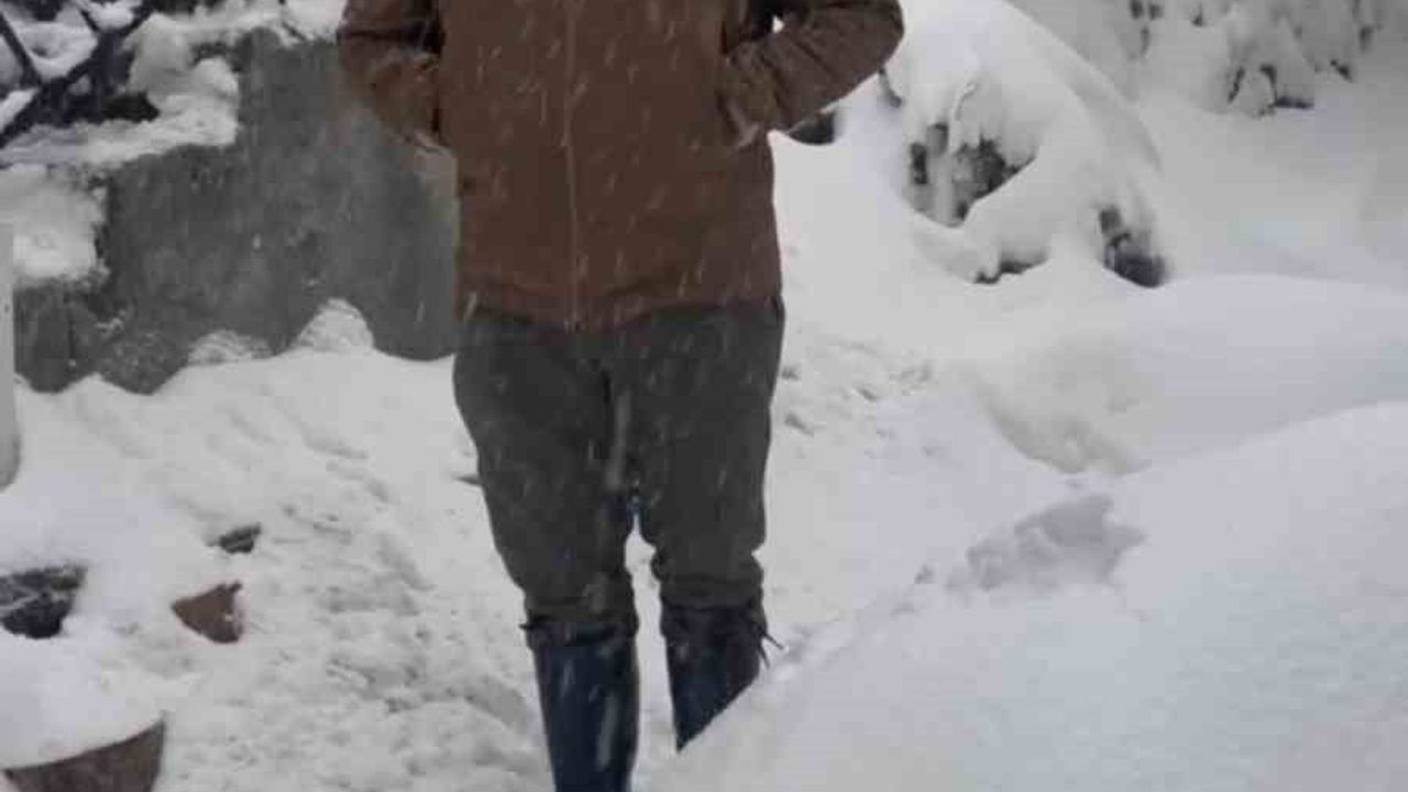 Zonguldak Aydınyayla'da Aç Kalan Kurt Köpek Barınağına Sığındı