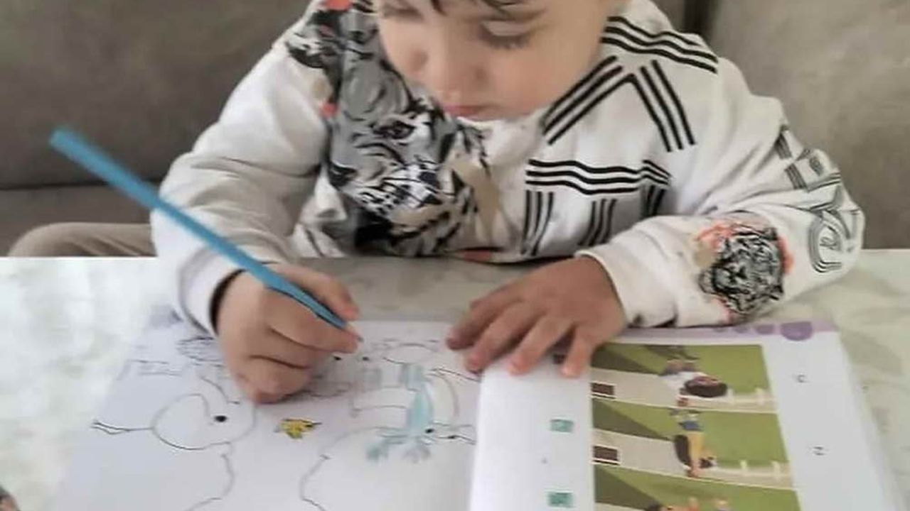 Zonguldak'ta 4 yaşındaki Sarp’ın ölümüne ilişkin davada şoför ve şirket yetkilisi karşı karşıya