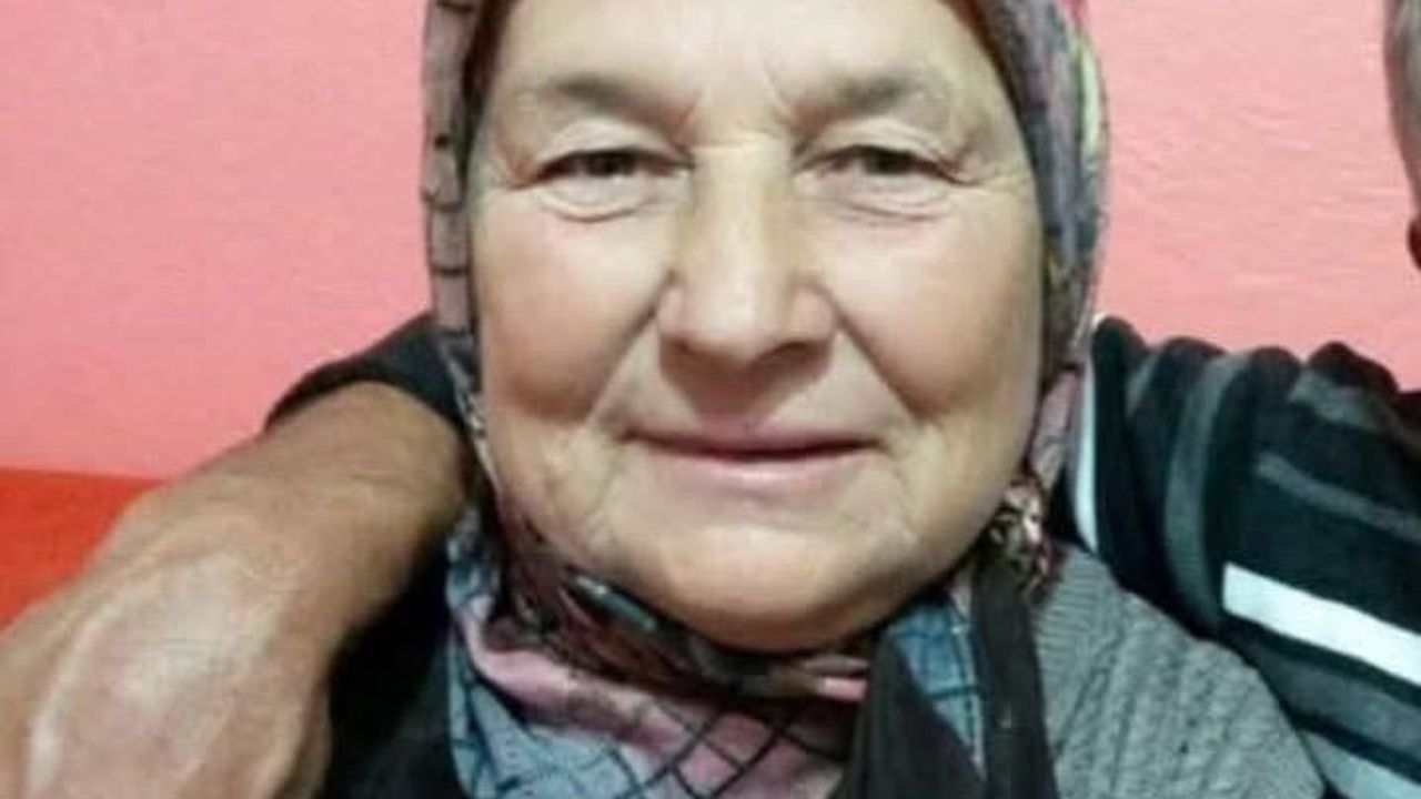 Zonguldak'ta Babaanne ve İki Torununu Öldüren Sanığa 45 Yıl 10 Ay Hapis