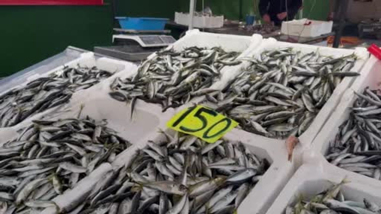 Zonguldak'ta İstavrit Tezgahlarda: Kilogramı 150 TL