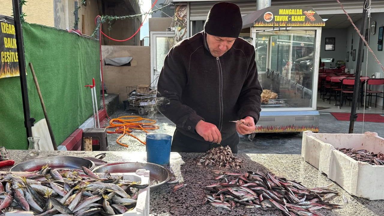 Zonguldak'ta Tezgahlar İstavrite Döndü — İstavrit Kilo 150 TL