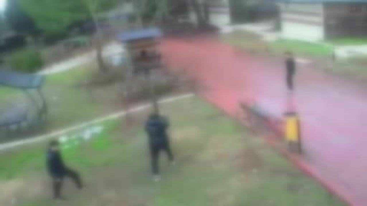 Adana’da 4 genç Dinazor Park’ta kuş yuvasını yıktı