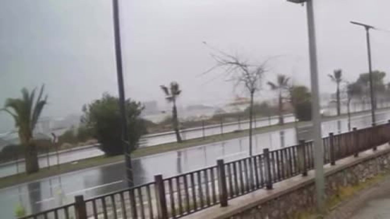 Alanya'da Otomobil Refüjdeki Ağaca Çarpıp Takla Attı: 1 Yaralı