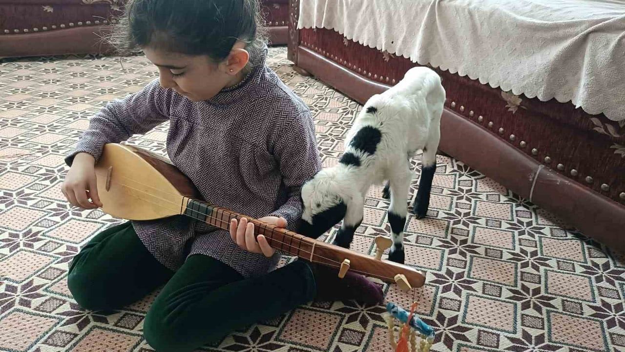 Elazığ'da don tehlikesi: Yeni doğan kuzular evde biberonla besleniyor