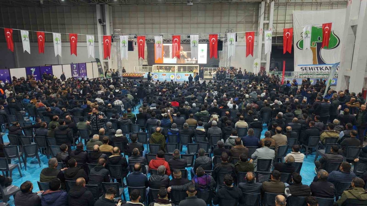 Gaziantep'te 29. Türkiye Filo Güvercin Güzellik Festivali — Şehitkamil'den kuş pazarı müjdesi