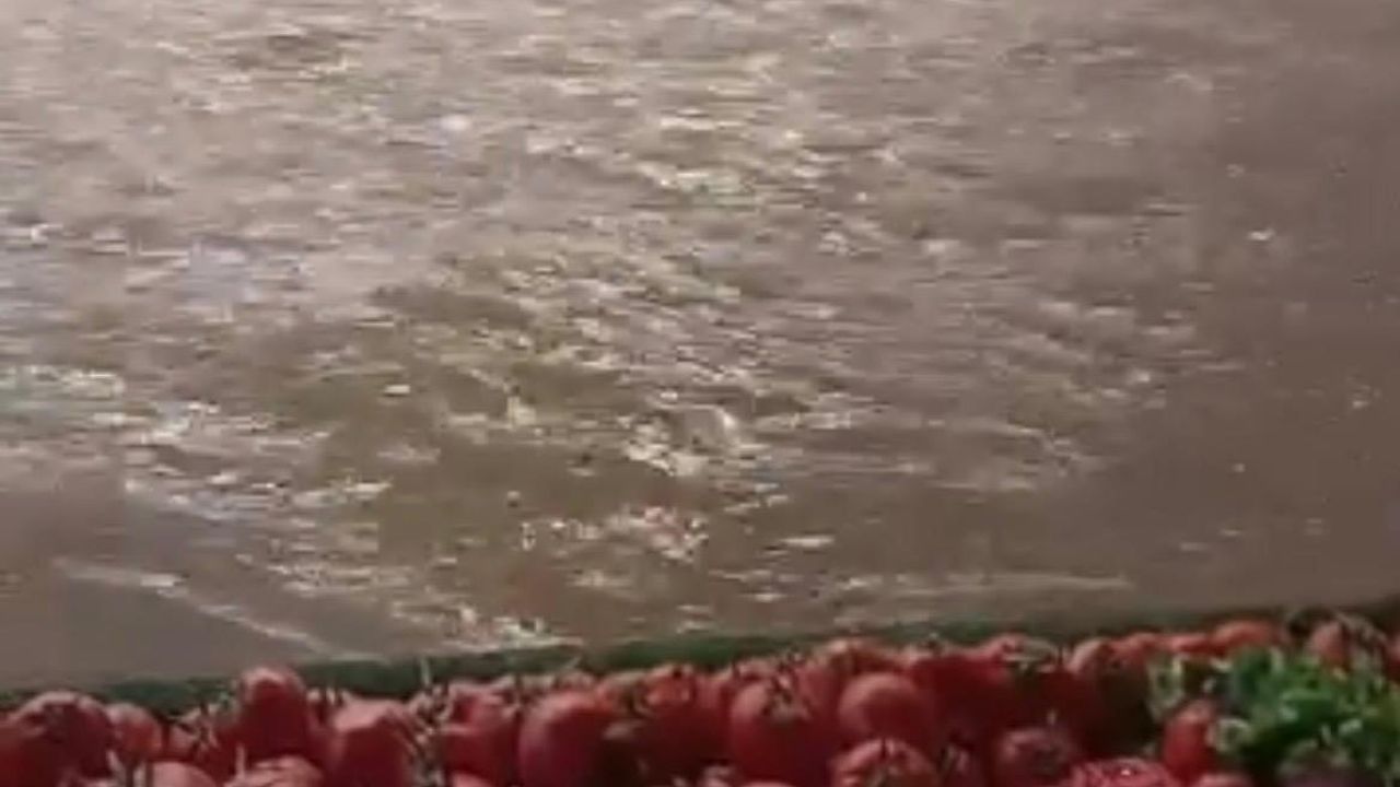 İzmir’de Sağanak ve Fırtına: Caddeler Göle Döndü