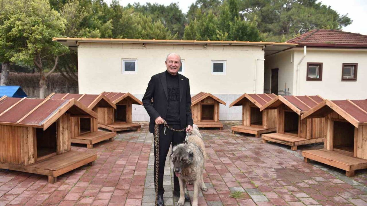 Kepez'te Hayırsever Desteğiyle 8 Köpek ve 50 Kedi Kulübesi