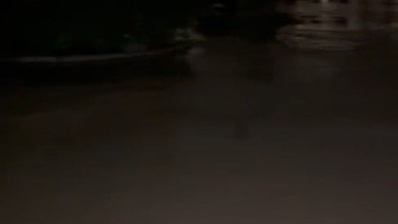 Kuşadası'nda Dere Taştı: Alışveriş Merkezi Sular Altında