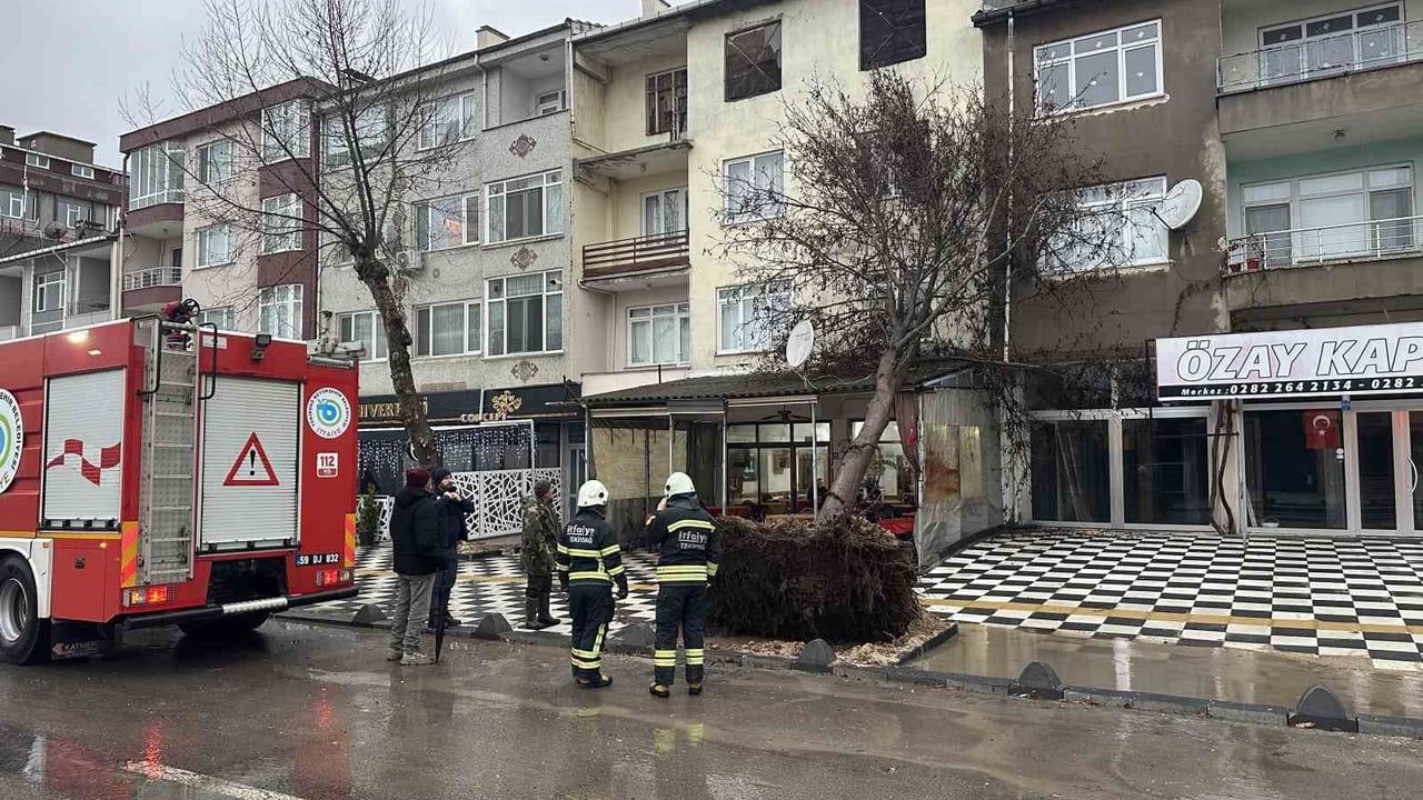 Muratlı'da Ağaç Kahvehanenin Çatısına Devrildi