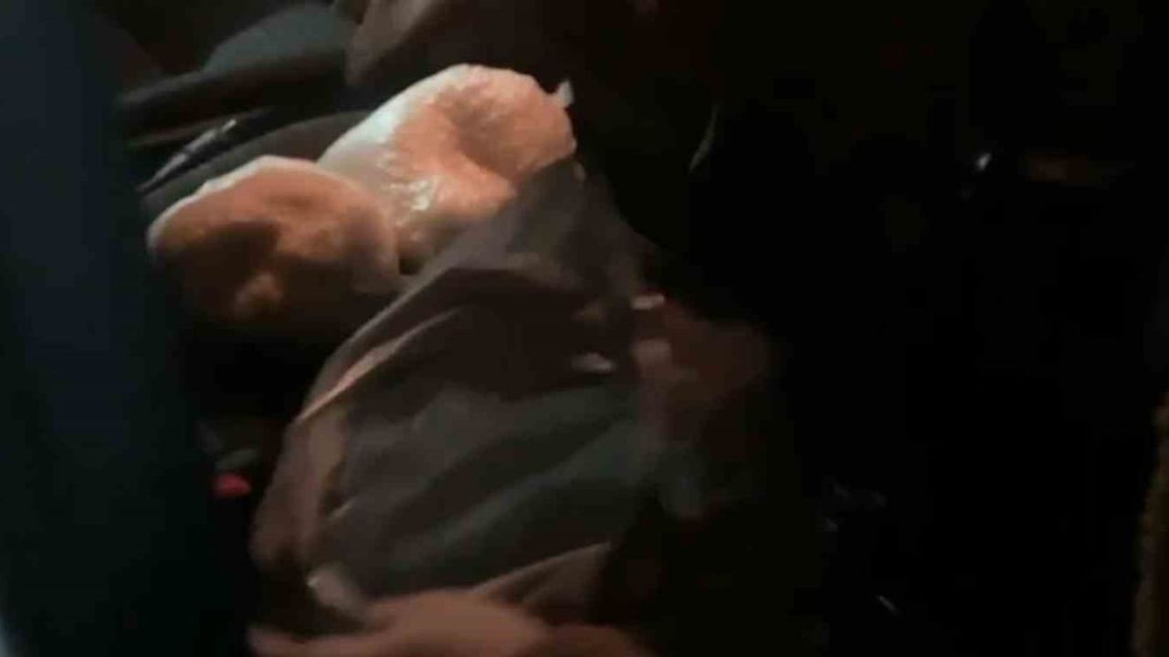 Sakarya'da otoyolda uyuşturucu operasyonu: 1 tutuklama