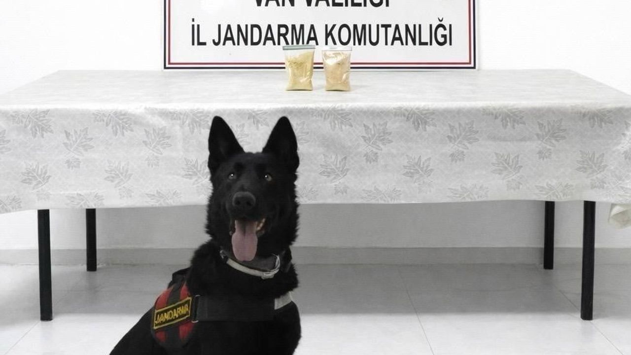Van Başkale'de İran Uyruklu Şahsın Üzerinden 510 Gram Eroin Ele Geçirildi