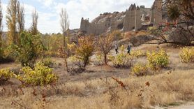 Kapadokya'da Sonbahar: Peribacaları Altında Altın Renkler
