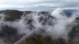 Ordu'da Sis ve Sonbahar Renkleri: Ulubey Sayacabaşı'nda Büyüleyici Manzara