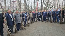 Adilcevaz'da 12 Bin Aşılı Ceviz Fidanı Dağıtıldı