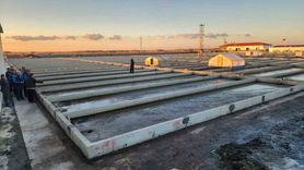 Çanakkale Ayvacık'ta Türkiye'nin Tek Deniz Solucanı Yetiştiriciliği Tesisi