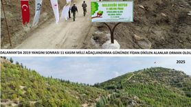 Dalaman'da Kara Tablo 6 Yılda Yeşile Döndü — Bin 433 Hektar, 450 Bin Fidan