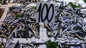 Karadeniz'de Hamsi Bereketi: Tezgahlarda Sezonun Son Günleri