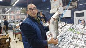 Kayseri'de palamut az, hamsi bolluğu sürüyor