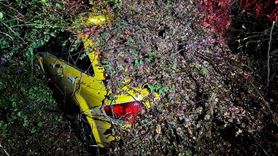 Mersin'de Ağaç Otomobilin Üzerine Devrildi: Sürücü Yaralanmadı