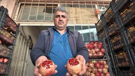 Siirt'te Zivzik Narı Verimi Kuraklıkla Yarı Yarıya Düştü