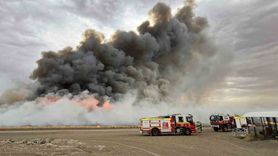 Yeni Güney Galler'de Orman Yangınları: İtfaiye Görevlisi Öldü