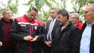 Tarım ve Orman Bakan Yardımcısı Gizligider, Denizli'deki Zirai Don Hasarını İnceledi