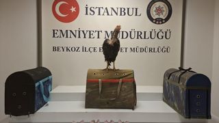 İstanbul'da Horoz Dövüştüren 21 Kişiye 194 Bin Lira Ceza