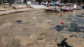 İzmit Körfezi'nde Köpüklü Tabaka İçin Temizlik Çalışmaları Başlatıldı
