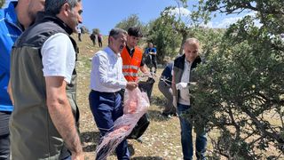 Şırnak'ta 'Orman Benim' Etkinliği ile Orman Yangınlarına Karşı Önlemler Alındı