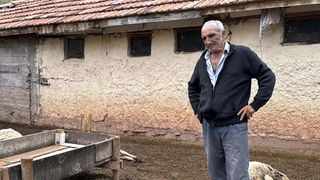 Kırıkkale'de Kurtların Saldırısında 18 Küçükbaş Hayvan Telef Oldu