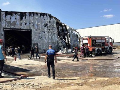 Kimyasal üretim tesisinde alevler: Gebze'de iki işçi yaralandı, iki at telef oldu