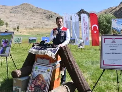 Şırnak’ta kovanlar yaylada, bal üreticinin yüzünü güldürdü