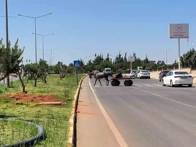 Reyhanlı'da yolun karşısına geçen kadın otomobilin çarpmasıyla metrelerce havaya savruldu