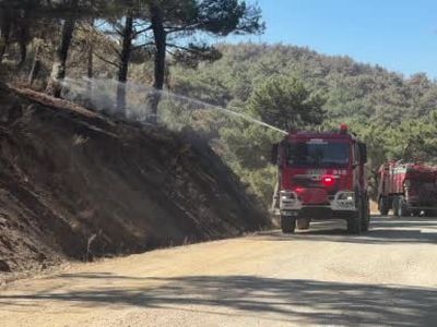 Gönüllüler ve ekipler seferber oldu: Ayvalık'ta yangın durduruldu