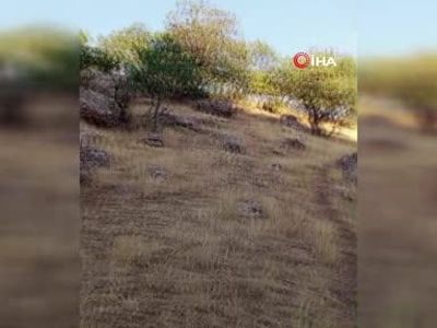 Mahsur kalan büyükbaş telef oldu, köylüler ulaşım ve müdahale çağrısı yaptı