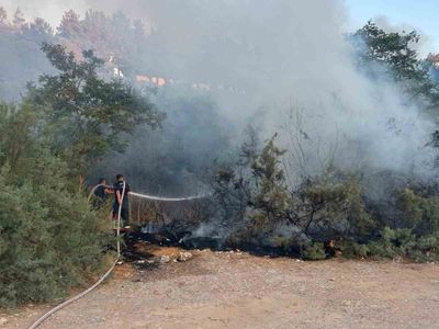 Kuşadası'nda Ada Göl yakınında ağaçlık yangını itfaiye müdahalesiyle söndürüldü