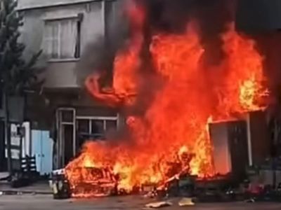 Gaziantep'te Barak Mahallesi'ndeki ruhsatsız petshopta yangın: çok sayıda hayvan telef oldu