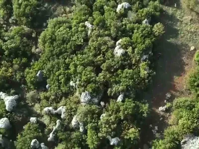 Hazine arazisini tarlaya çeviren zanlı jandarmaya yakalandı