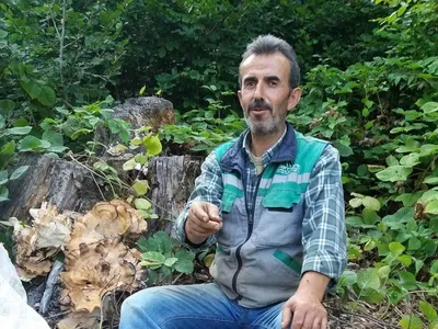 Tovacı mevkiinde traktör kazası: orman işçisi hayatını kaybetti