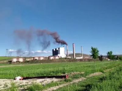 Kangal termiğinin uzman ellerde işletilmesi istendi